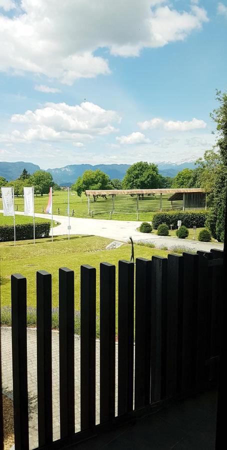 Lambergh Chateau & Hotel Dvorska Vas 外观 照片