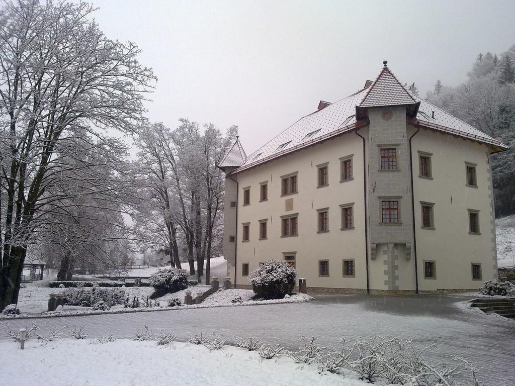Lambergh Chateau & Hotel Dvorska Vas 外观 照片